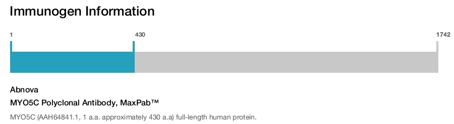 MYO5C Polyclonal Antibody, MaxPab™