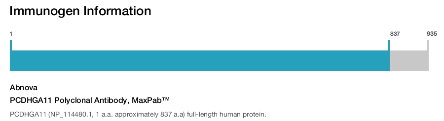 PCDHGA11 Polyclonal Antibody, MaxPab&trade;
