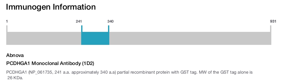 PCDHGA1 Monoclonal Antibody (1D2)