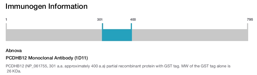 PCDHB12 Monoclonal Antibody (1D11)