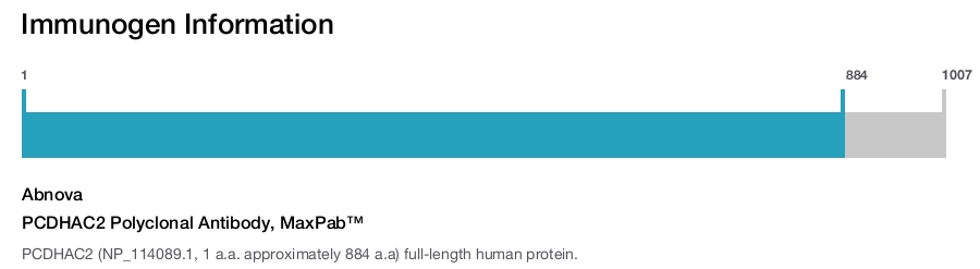 PCDHAC2 Polyclonal Antibody, MaxPab&trade;