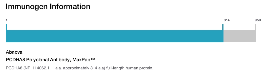 PCDHA8 Polyclonal Antibody, MaxPab™