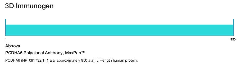 PCDHA6 Polyclonal Antibody, MaxPab&trade;