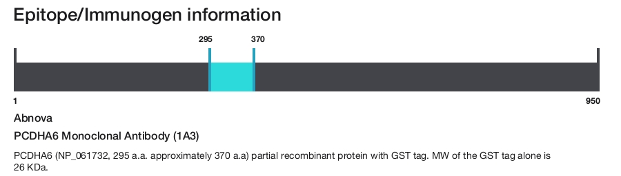 PCDHA6 Monoclonal Antibody (1A3)