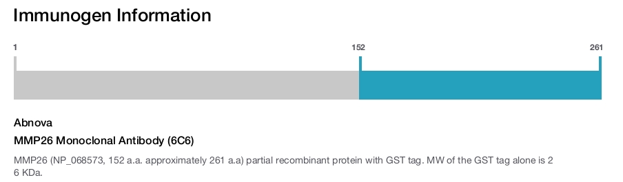 MMP26 Monoclonal Antibody (6C6)