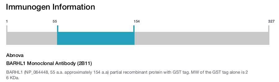 BARHL1 Monoclonal Antibody (2B11)
