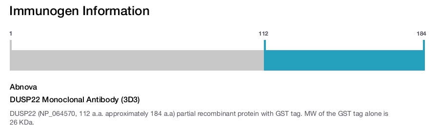 DUSP22 Monoclonal Antibody (3D3)