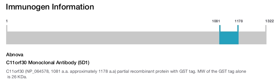 C11orf30 Monoclonal Antibody (5D1)