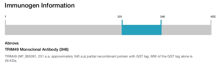 TRIM49 Monoclonal Antibody (3H8)