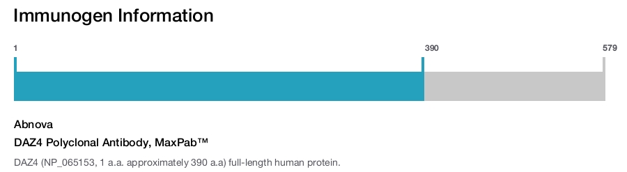 DAZ4 Polyclonal Antibody, MaxPab™