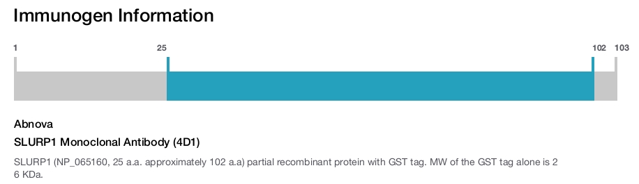SLURP1 Monoclonal Antibody (4D1)