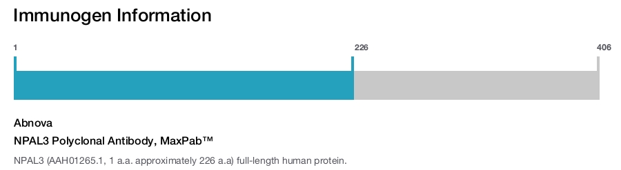 NPAL3 Polyclonal Antibody, MaxPab™