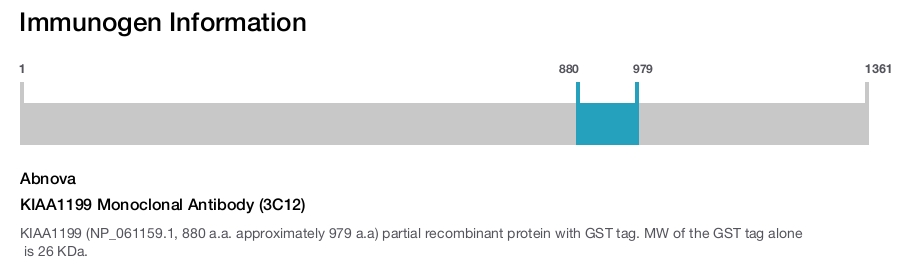 KIAA1199 Monoclonal Antibody (3C12)