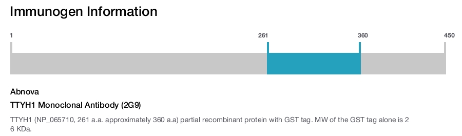 TTYH1 Monoclonal Antibody (2G9)