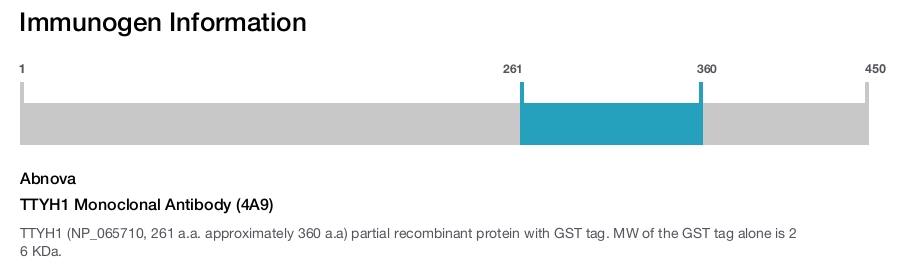 TTYH1 Monoclonal Antibody (4A9)