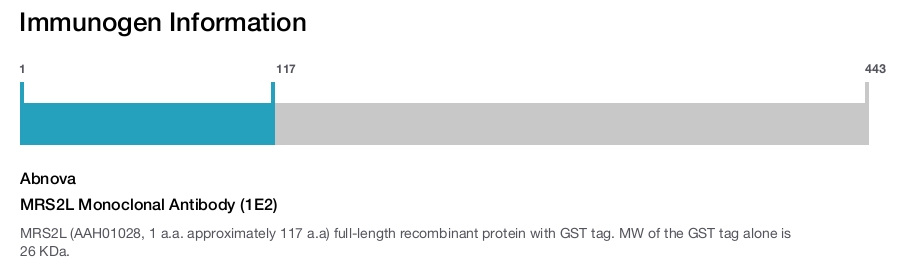 MRS2L Monoclonal Antibody (1E2)