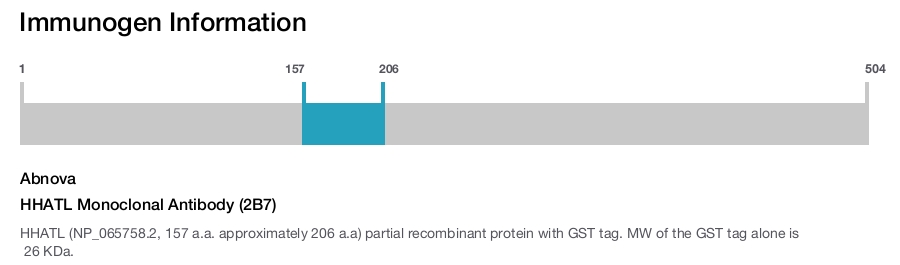 HHATL Monoclonal Antibody (2B7)