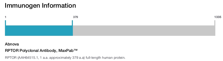 RPTOR Polyclonal Antibody, MaxPab&trade;