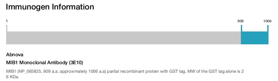 MIB1 Monoclonal Antibody (3E10)