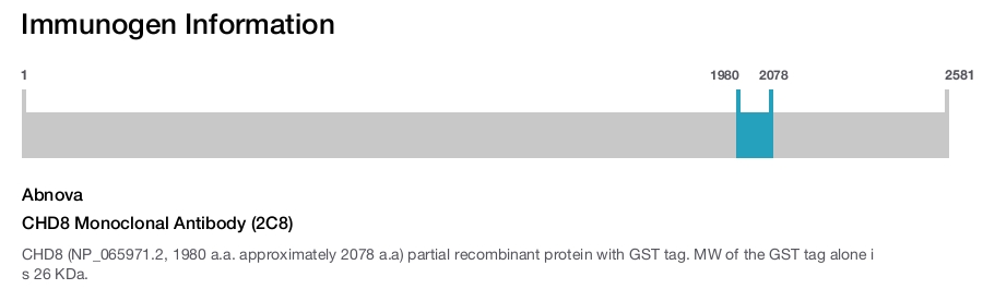 CHD8 Monoclonal Antibody (2C8)