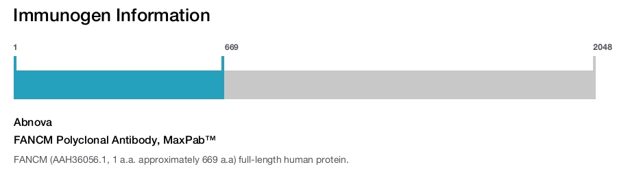 FANCM Polyclonal Antibody, MaxPab™