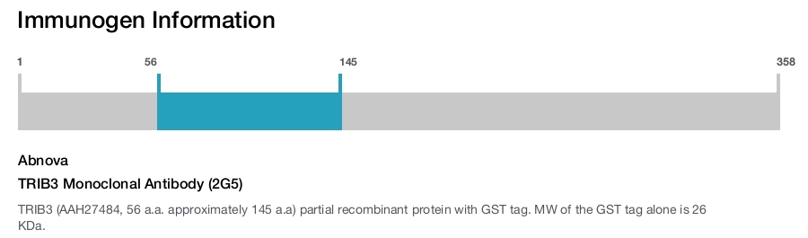 TRIB3 Monoclonal Antibody (2G5)