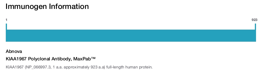 KIAA1967 Polyclonal Antibody, MaxPab™