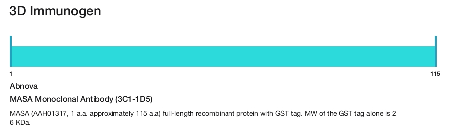 MASA Monoclonal Antibody (3C1-1D5)