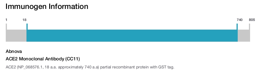 ACE2 Monoclonal Antibody (CC11)