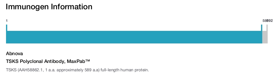 TSKS Polyclonal Antibody, MaxPab&trade;