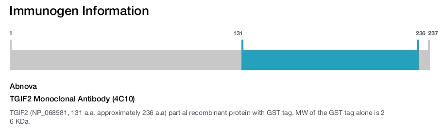 TGIF2 Monoclonal Antibody (4C10)