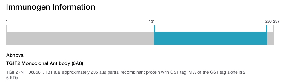 TGIF2 Monoclonal Antibody (6A8)