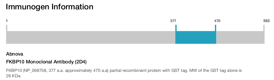 FKBP10 Monoclonal Antibody (2D4)