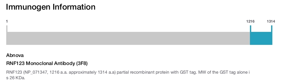 RNF123 Monoclonal Antibody (3F8)