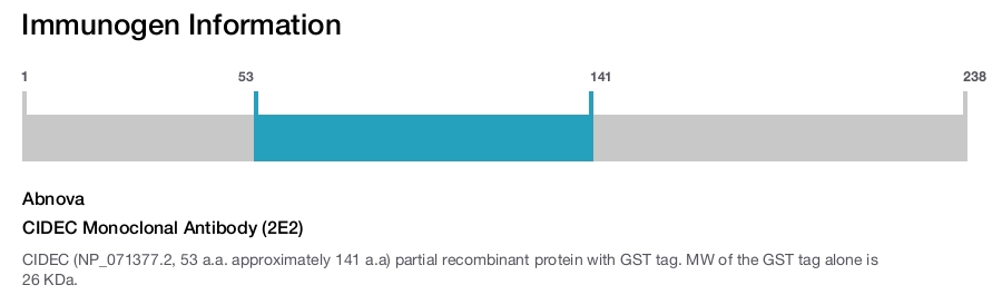 CIDEC Monoclonal Antibody (2E2)