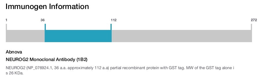 NEUROG2 Monoclonal Antibody (1B2)