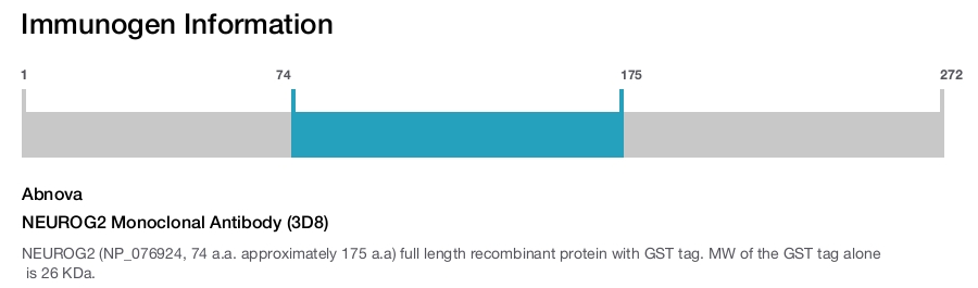 NEUROG2 Monoclonal Antibody (3D8)