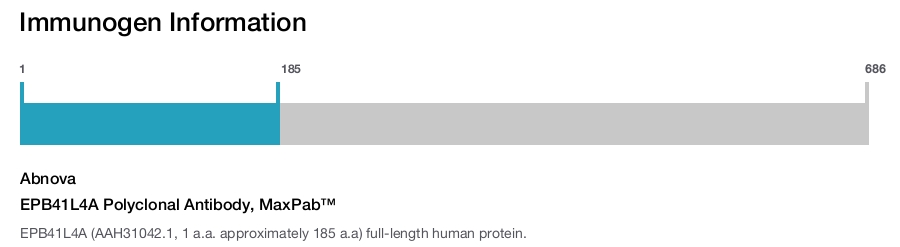 EPB41L4A Polyclonal Antibody, MaxPab&trade;