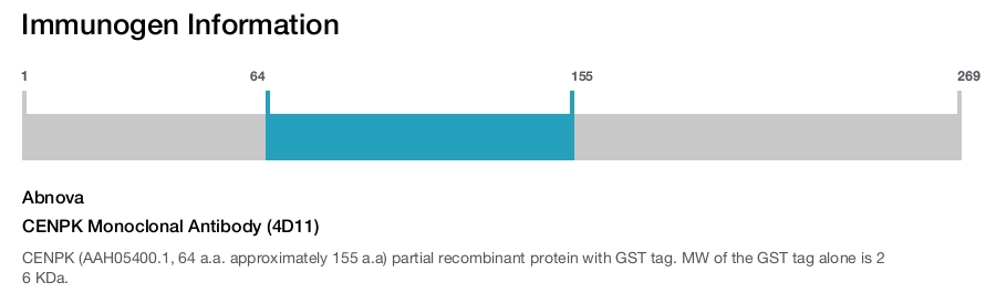 CENPK Monoclonal Antibody (4D11)