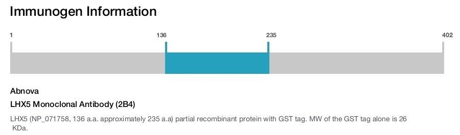 LHX5 Monoclonal Antibody (2B4)
