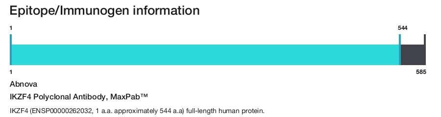 IKZF4 Polyclonal Antibody, MaxPab&trade;