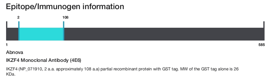 IKZF4 Monoclonal Antibody (4E6)