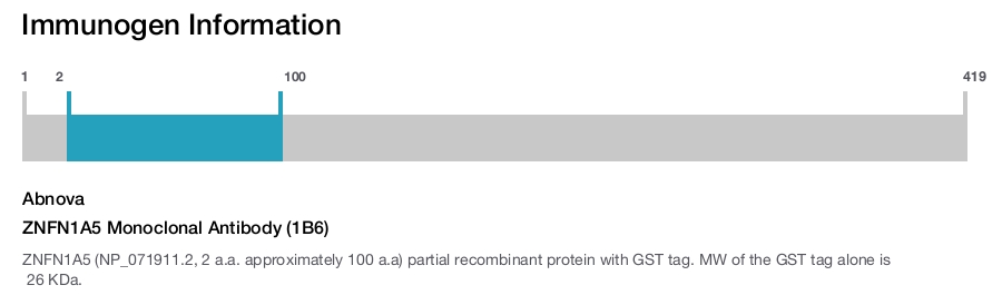 ZNFN1A5 Monoclonal Antibody (1B6)