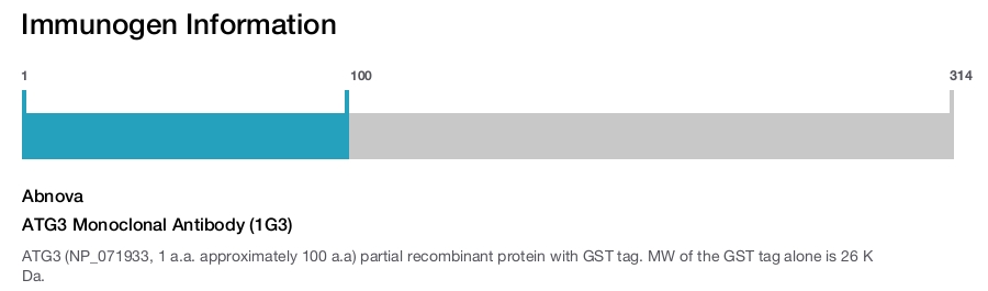 ATG3 Monoclonal Antibody (1G3)