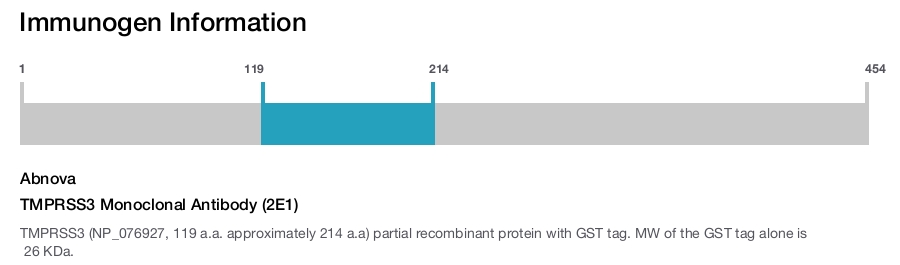 TMPRSS3 Monoclonal Antibody (2E1)