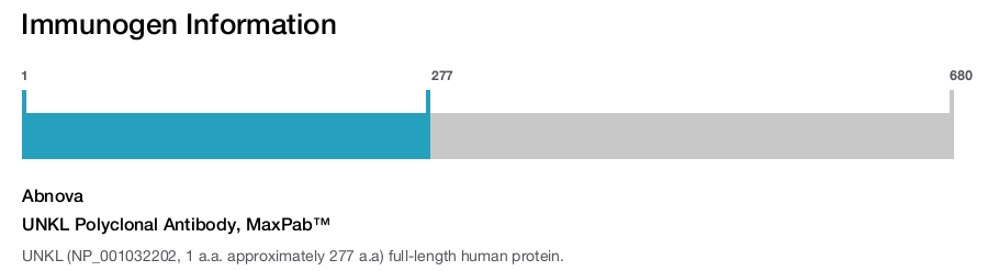 UNKL Polyclonal Antibody, MaxPab&trade;