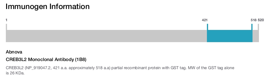 CREB3L2 Monoclonal Antibody (1B8)