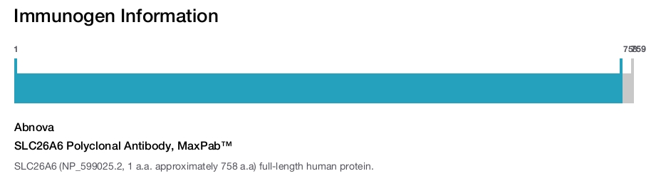 SLC26A6 Polyclonal Antibody, MaxPab™