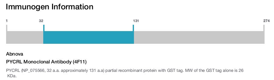 PYCRL Monoclonal Antibody (4F11)