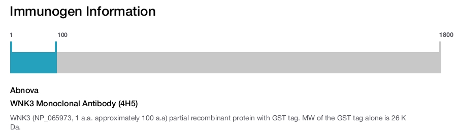 WNK3 Monoclonal Antibody (4H5)